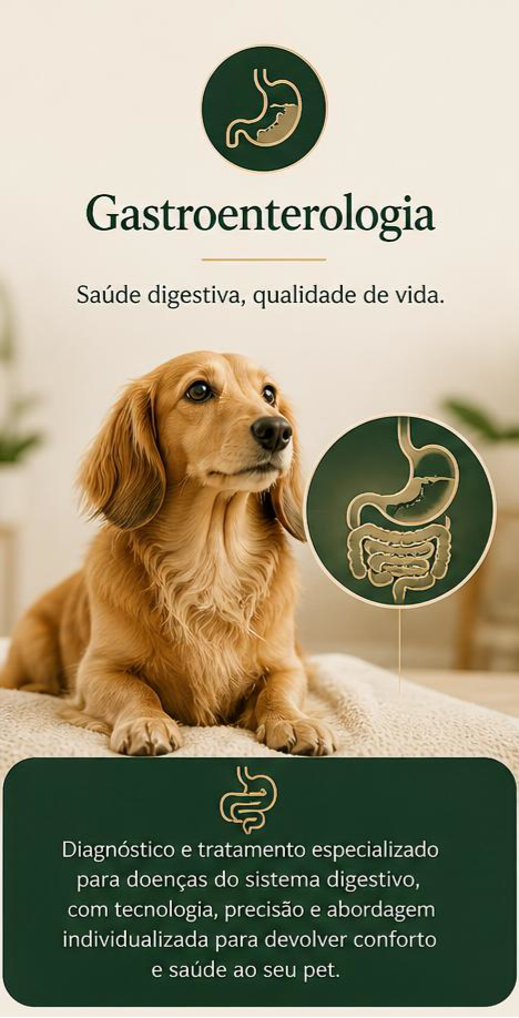Gastro- site.PNG
