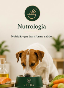 Nutrologia - site.PNG