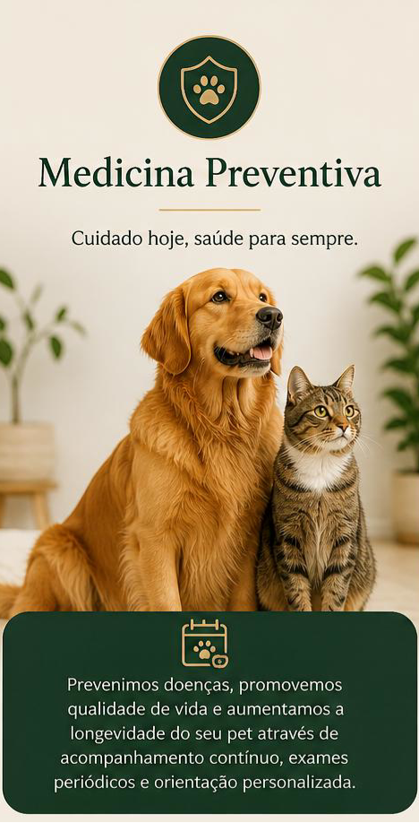 preventiva  site.PNG