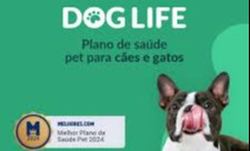 doglife-sorocaba-vetra.jpg